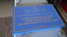 вывеска фасадная для госучереждения